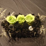 イルコローレ - 