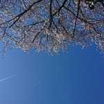 Namikiya - 入間が近いせいか飛行機雲もよくみかけます。