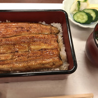 割烹 蒲焼 大沼 - 