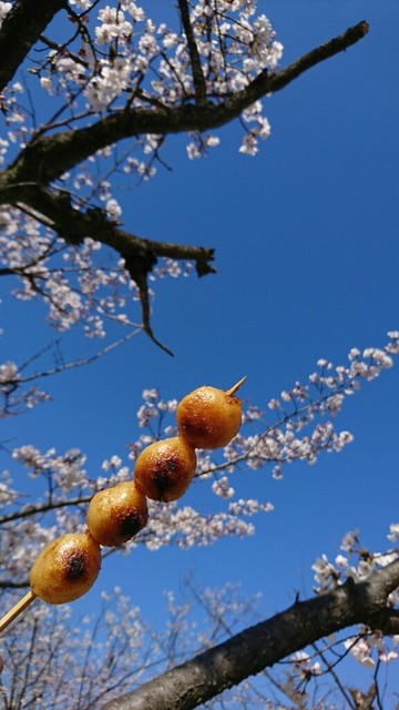所沢から歩いて奈美喜の団子を買って航空公園での季節の花見は素敵な散歩コースがになります 炭火を起こすところから始める職人の技に見惚れる至福の待ち時間 注文は3本からは納得の手作業 By 稲樹庵 奈美喜屋 所沢 和菓子 食べログ 所沢から歩いて奈美喜の団子を買って航空公園での季節の花見は素敵な散歩コースがになります 炭火を起こすところから始める職人の技に見惚れる至福の待ち時間 注文は3本からは納得の手作業 By 稲樹庵 奈美喜屋 所沢 和菓子 食べログ