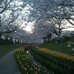かっすい亭 - 美しく整備された江川の夕暮れ時。