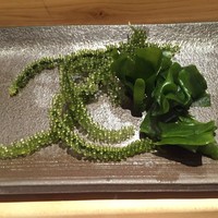 匠 進吾 - 