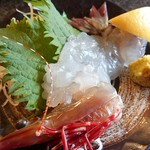 ようちゃん - アカアシエビのお造り