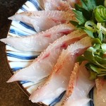 ようちゃん - ノドグロお造り