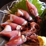 ようちゃん - ホタルイカ酢味噌