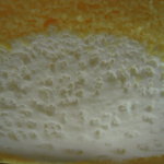 モンシェール - しっとりふわふわ‼堂島ロール