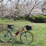 麺くい やまちゃん - 