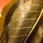 長命寺 桜もち - 