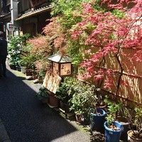よし梅 人形町本店 - 