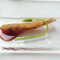 サーラ アマービレ - 