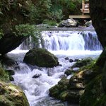 洛雲荘 - 河床から見える風景