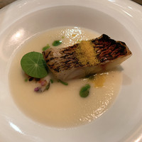 セルサルサーレ - 