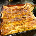 鰻家 - うな重（特）