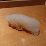 鮨 さかい - アオリイカ