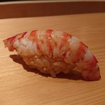 鮨 さかい - 車海老