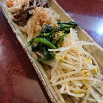 肉料理 大森 - ナムル盛り合わせ