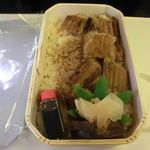 Hiroshima Ekiben - 広島名物活あなごめし