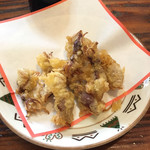 魚料理 いさり火 - ホタルイカ天ぷら