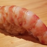 鮨 さかい - (16)車海老(熊本県天草産)
      産卵期は初夏～初秋、旬は初夏～初秋。
      茹でたての温かい車海老はぷりぷり、温かなシャリがググッと沈み込みます。
      車海老の華やかな甘みと旨味が押し寄せます。