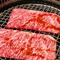 日本焼肉はせ川 表参道店 - 