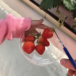 いちご畑　はる - 