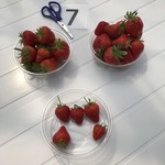 いちご畑　はる - どんだけ食べるん