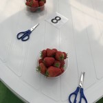 いちご畑　はる - 