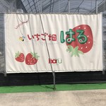 いちご畑　はる - 