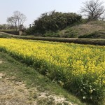 いちご畑　はる - 