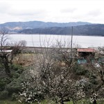 徳山鮓 - お部屋前のテラスから眺める 余呉湖の風景。梅の花が咲いています。　　　　　2019.03.16