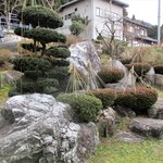 徳山鮓 - 玄関前の斜面を利用した庭。　　　　　2019.03.16