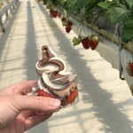 いちご畑　はる - 