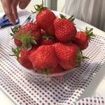 いちご畑　はる - みんなすげー食べる説