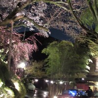 菊乃井 本店 - 