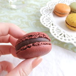 bubo BARCELONA - ショコラ。