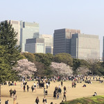 イデミスギノ - 