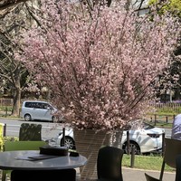 キハチ 青山本店 - 