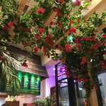 クアアイナ 三井アウトレットパーク木更津店 - 