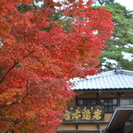 みやじまの宿 岩惣 - 