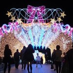 しらいし - イルミ