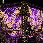 しらいし - イルミ