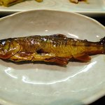 しらいし - 椎葉産のハヤの甘露煮