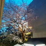 レストラン・パッション - 満開