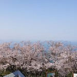 Shiudeyama Isekikan Kissakona - 桜と海が両方楽しめますね♪