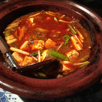 雪梅花 菜根譚 - 