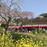 一夜城 ヨロイヅカ・ファーム - 外観