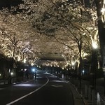 麺覇王 - 外は桜が綺麗