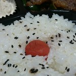 花まる弁当 - 銀シャリアップ！