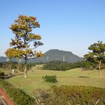 佐賀ロイヤルゴルフクラブ - ゴルフ場は自然林によって美しくセパレートされたコースで全体にフラットなデザインです。