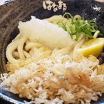 Hanamaru Udon - 